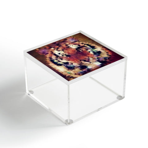 Deniz Ercelebi Tigris Acrylic Box