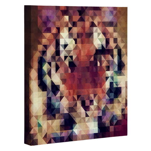 Deniz Ercelebi Tigris Art Canvas