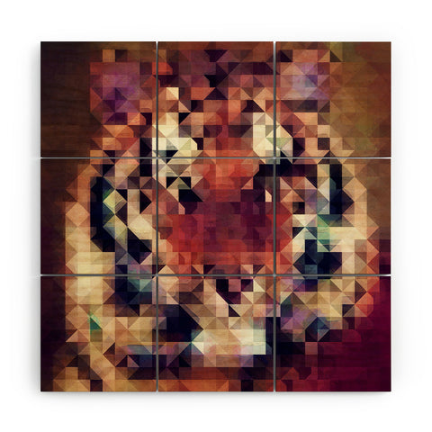 Deniz Ercelebi Tigris Wood Wall Mural