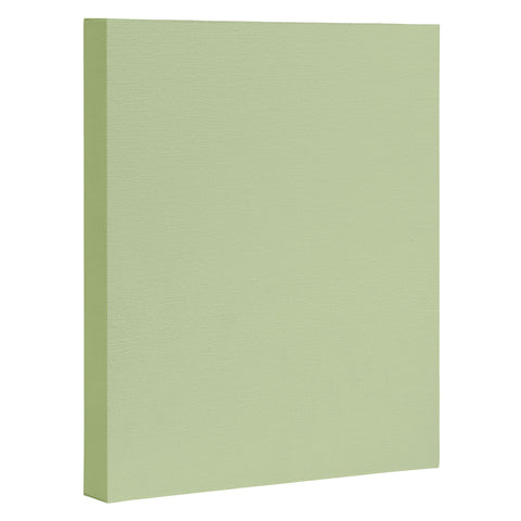 DENY Designs Light Green 580c Art Canvas