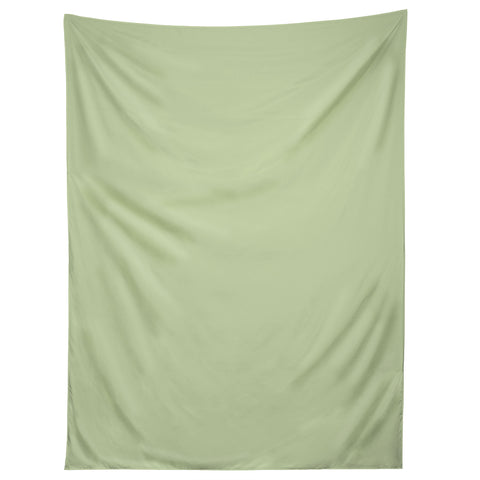 DENY Designs Light Green 580c Tapestry