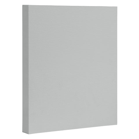 DENY Designs Light Grey 427c Art Canvas