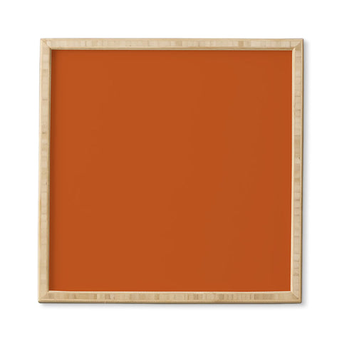 DENY Designs Rust 167c Framed Wall Art