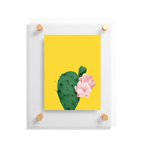 Djaheda Richers Cactus In Bloom Floating Acrylic Print