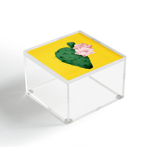 Djaheda Richers Cactus In Bloom Acrylic Box