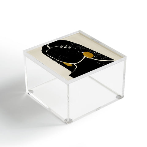 Domonique Brown Black Hair No 3 Acrylic Box