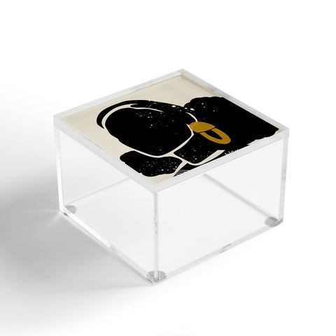 Domonique Brown Black Hair No 4 Acrylic Box