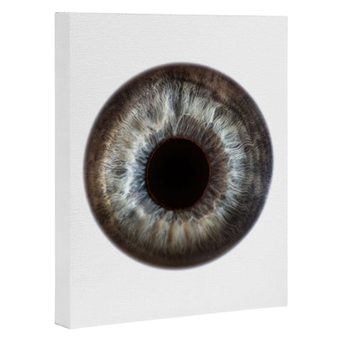 Elena Kulikova Eye See Blue Sky Art Canvas