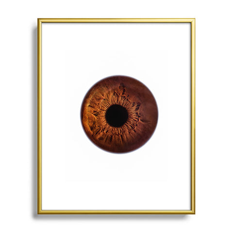 Elena Kulikova Eye See Brown Metal Framed Art Print