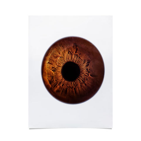Elena Kulikova Eye See Brown Poster