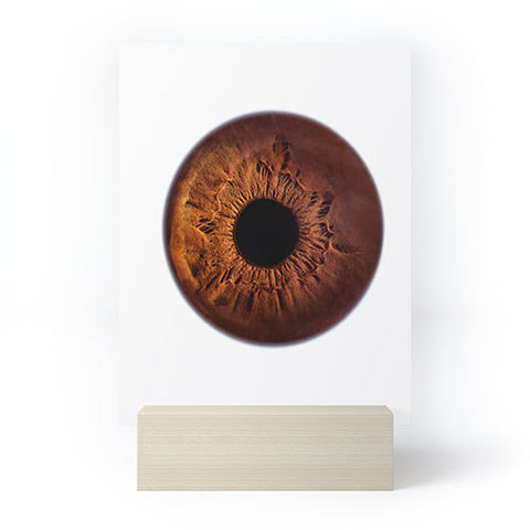 Elena Kulikova Eye See Brown Mini Art Print