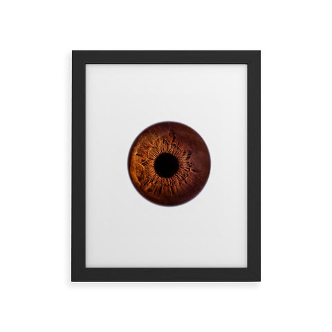 Elena Kulikova Eye See Brown Framed Art Print