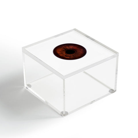 Elena Kulikova Eye See Dark Brown Acrylic Box