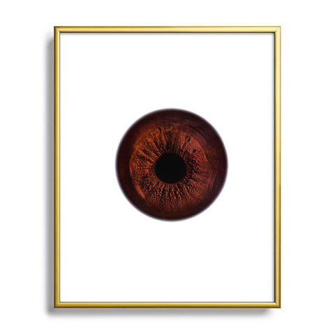 Elena Kulikova Eye See Dark Brown Metal Framed Art Print
