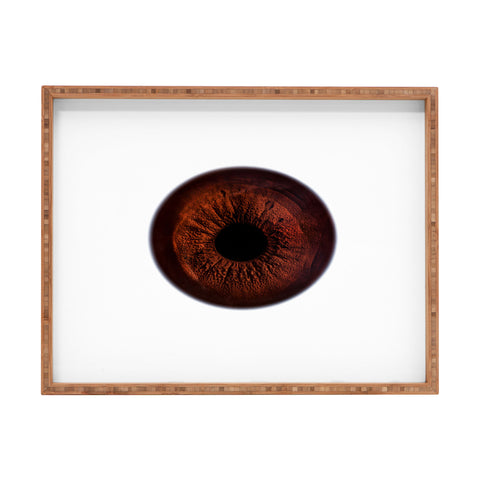Elena Kulikova Eye See Dark Brown Rectangular Tray