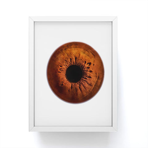 Elena Kulikova Eye See Earth Framed Mini Art Print