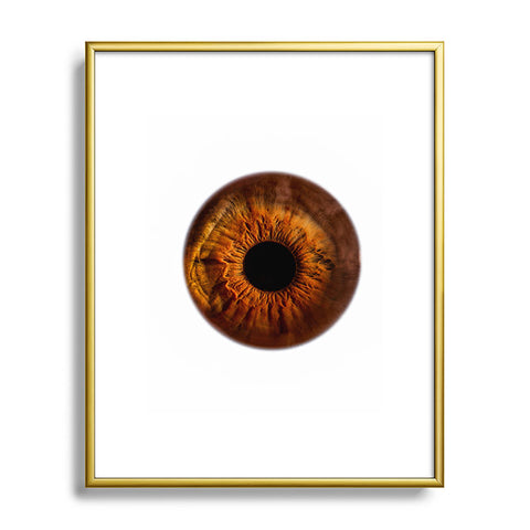 Elena Kulikova Eye See Golden Brown Metal Framed Art Print