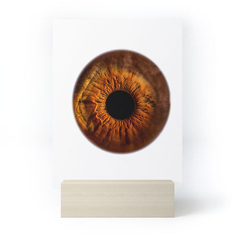 Elena Kulikova Eye See Golden Brown Mini Art Print