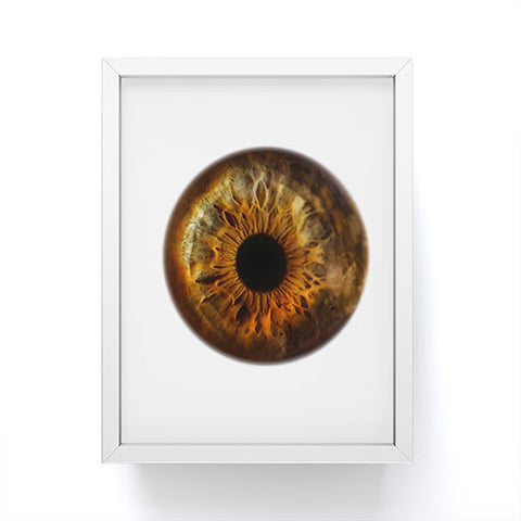 Elena Kulikova Eye See Hazel Framed Mini Art Print