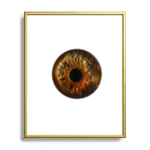 Elena Kulikova Eye See Hazel Metal Framed Art Print