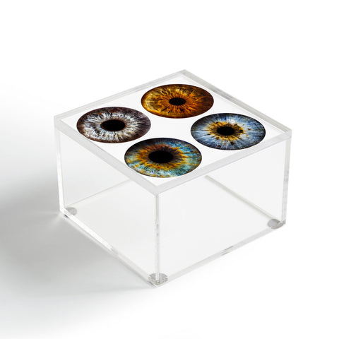 Elena Kulikova Eye See Humanity Three Acrylic Box