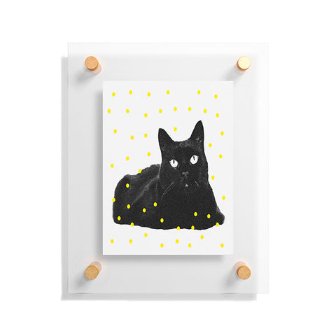 Elisabeth Fredriksson A Black Cat Floating Acrylic Print