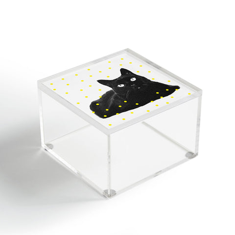 Elisabeth Fredriksson A Black Cat Acrylic Box