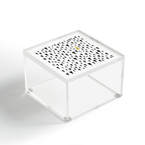 Elisabeth Fredriksson Dare Acrylic Box