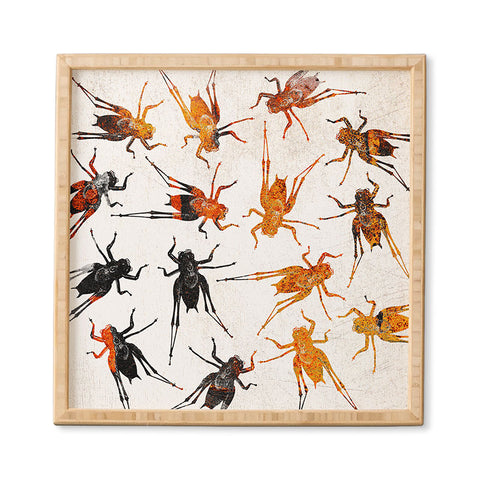 Elisabeth Fredriksson Grasshoppers 3 Framed Wall Art