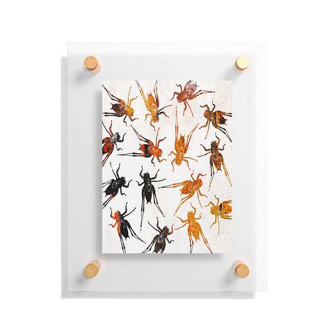 Elisabeth Fredriksson Grasshoppers 3 Floating Acrylic Print