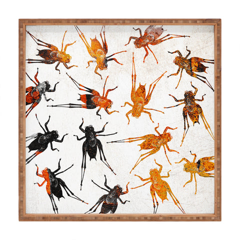 Elisabeth Fredriksson Grasshoppers 3 Square Tray