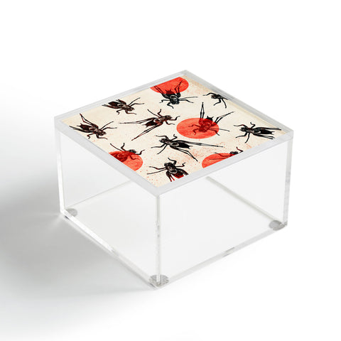 Elisabeth Fredriksson Grasshoppers Acrylic Box