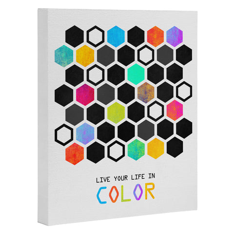 Elisabeth Fredriksson Hexagons Art Canvas