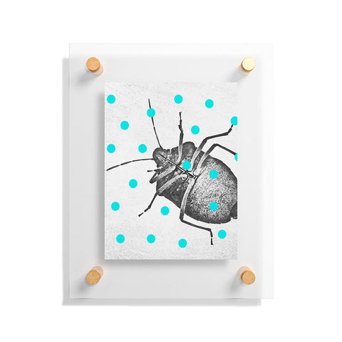 Elisabeth Fredriksson Little Stinkbug Floating Acrylic Print