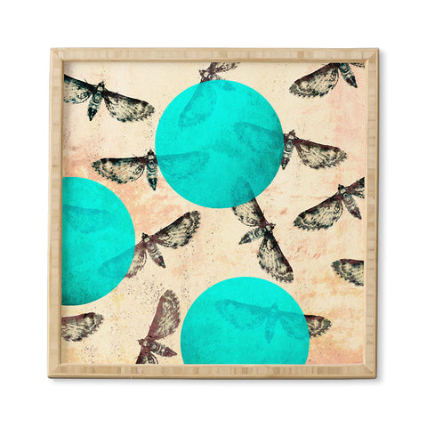 Elisabeth Fredriksson Moths Framed Wall Art