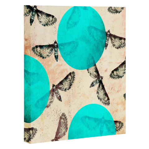 Elisabeth Fredriksson Moths Art Canvas