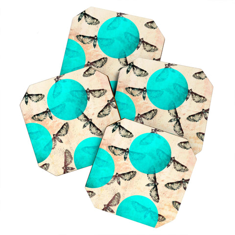 Elisabeth Fredriksson Moths Coaster Set