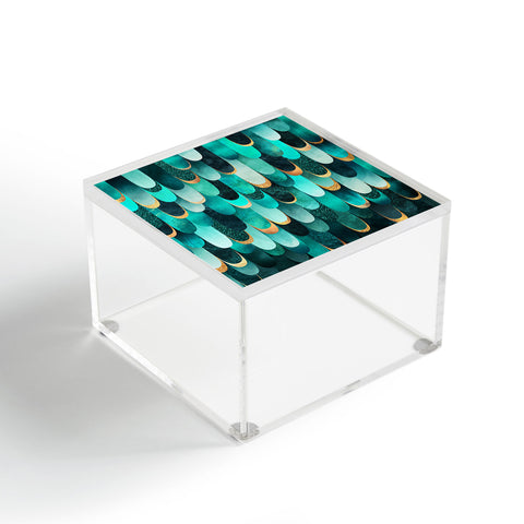 Elisabeth Fredriksson Ocean Scales Acrylic Box