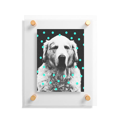 Elisabeth Fredriksson Sleepy Dog Floating Acrylic Print