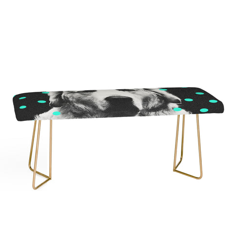 Elisabeth Fredriksson Sleepy Dog Bench