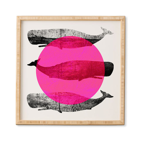Elisabeth Fredriksson Whales Pink Framed Wall Art