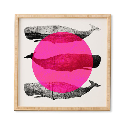 Elisabeth Fredriksson Whales Pink Framed Wall Art