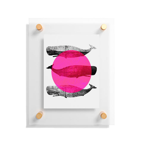 Elisabeth Fredriksson Whales Pink Floating Acrylic Print