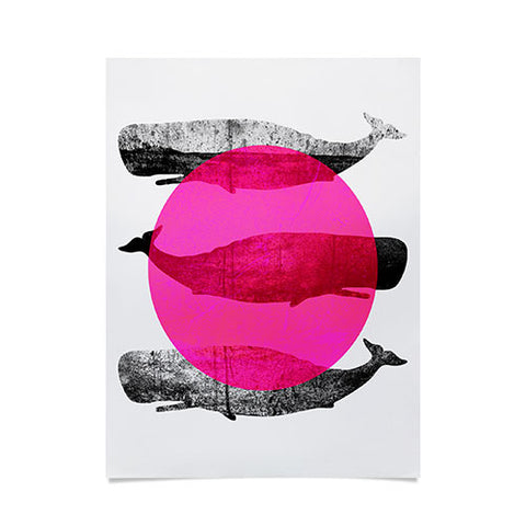Elisabeth Fredriksson Whales Pink Poster