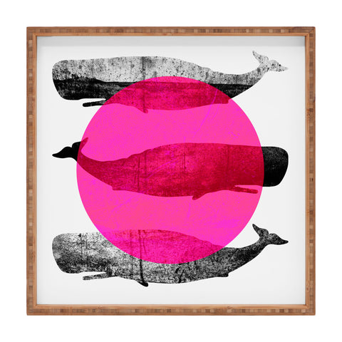 Elisabeth Fredriksson Whales Pink Square Tray