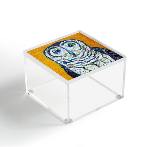 Elizabeth St Hilaire Hoot 2 Acrylic Box