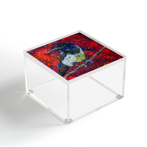 Elizabeth St Hilaire Mischievous Magpie Acrylic Box