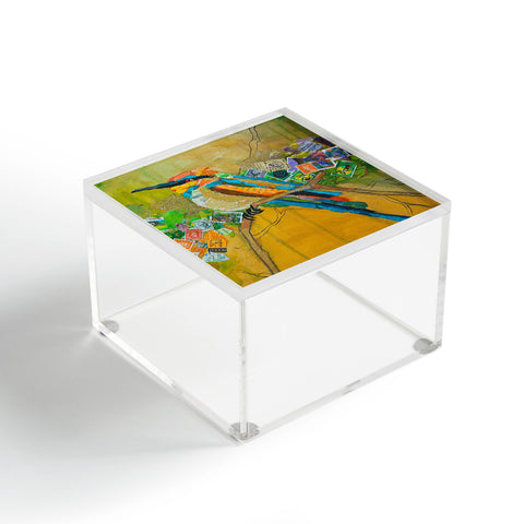 Elizabeth St Hilaire Rainbow Bee Eater Acrylic Box