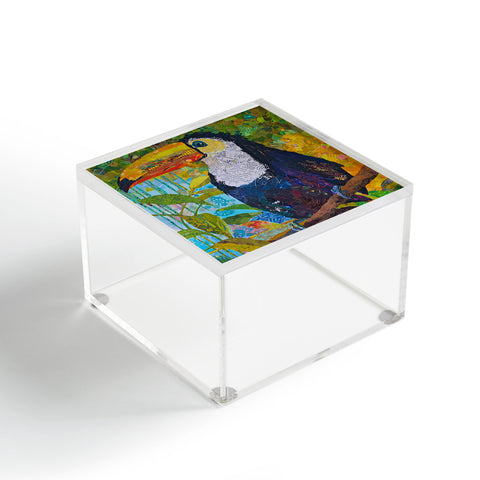 Elizabeth St Hilaire Toucan 1 Acrylic Box