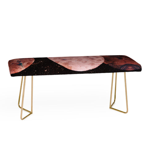 Emanuela Carratoni Autumnal Planets Bench
